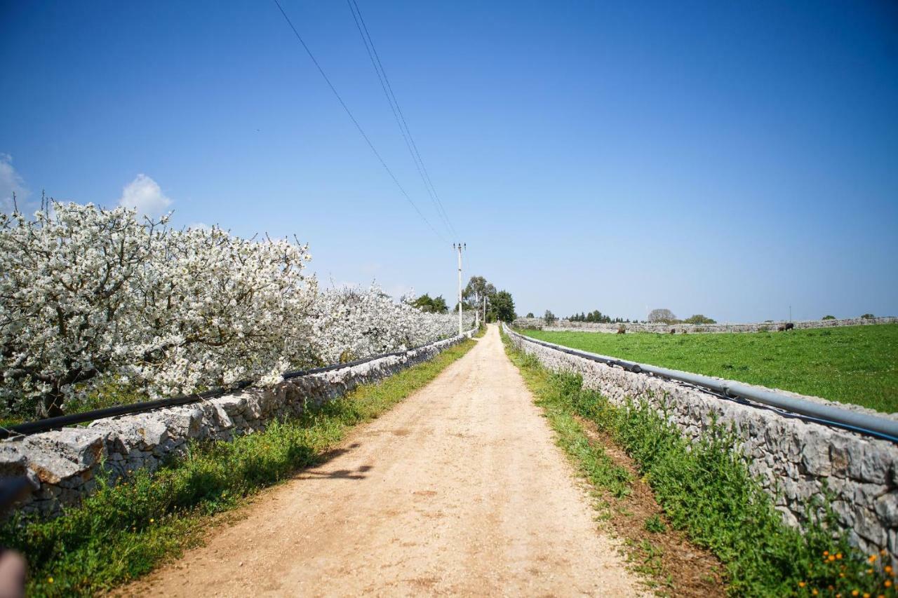 Masseria Guadiano Vecchio Santa Lucia  Exterior foto